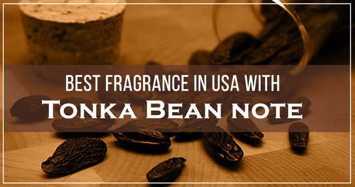 Best Fragrances in USA with Tonka Bean note